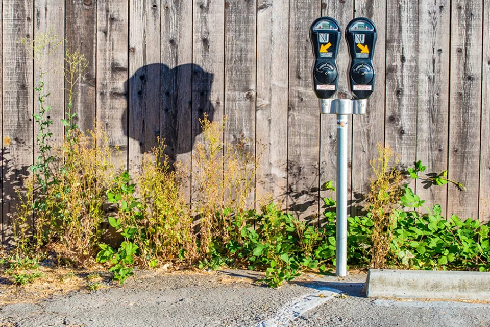 Paid Parking